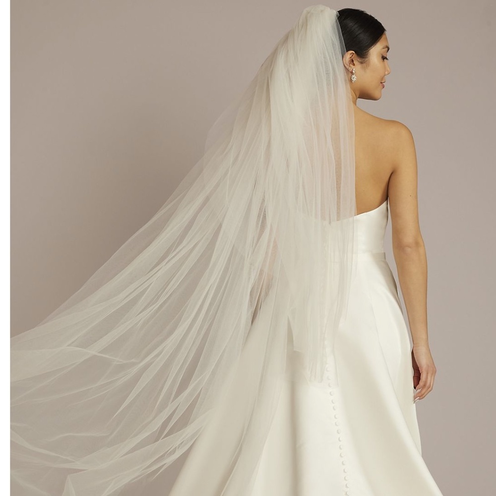David's Bridal two tier raw-edge chapel-length veil